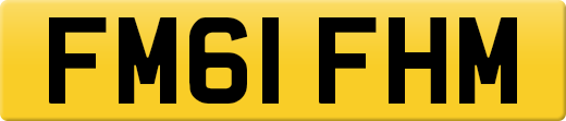 FM61FHM